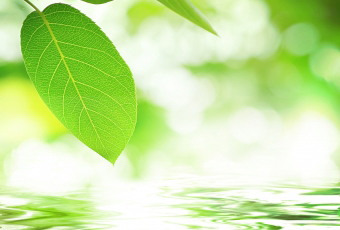 社会貢献 社会貢献